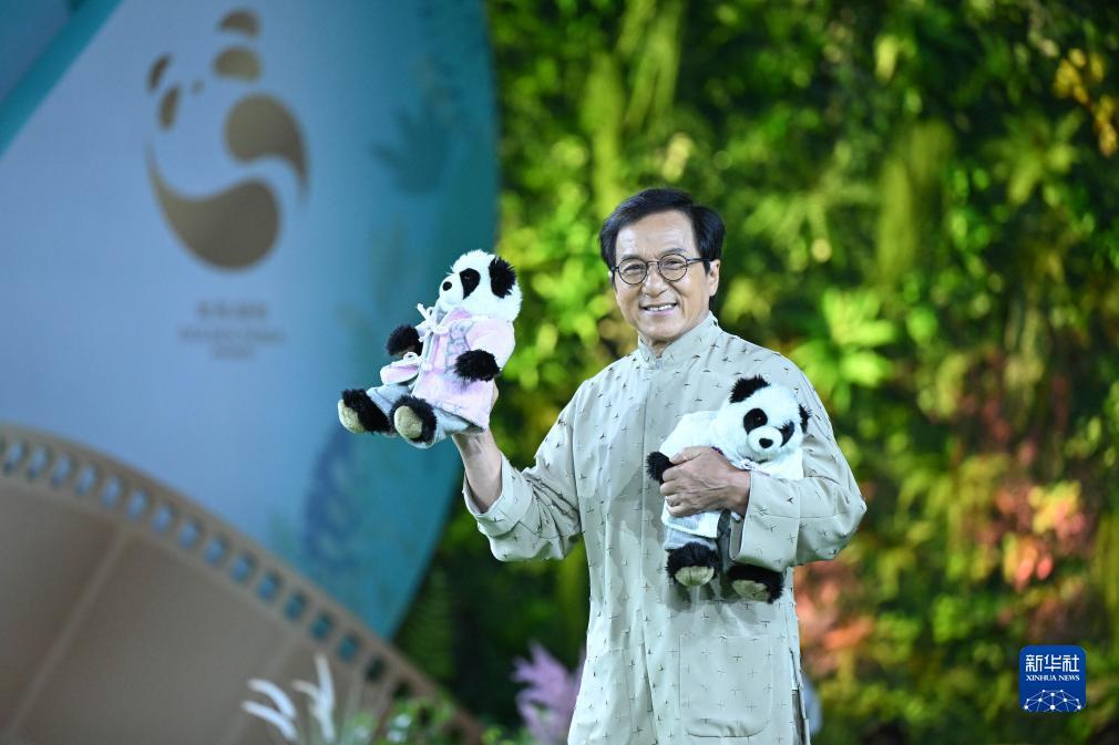 怎么算是闲龙宝,庄龙宝